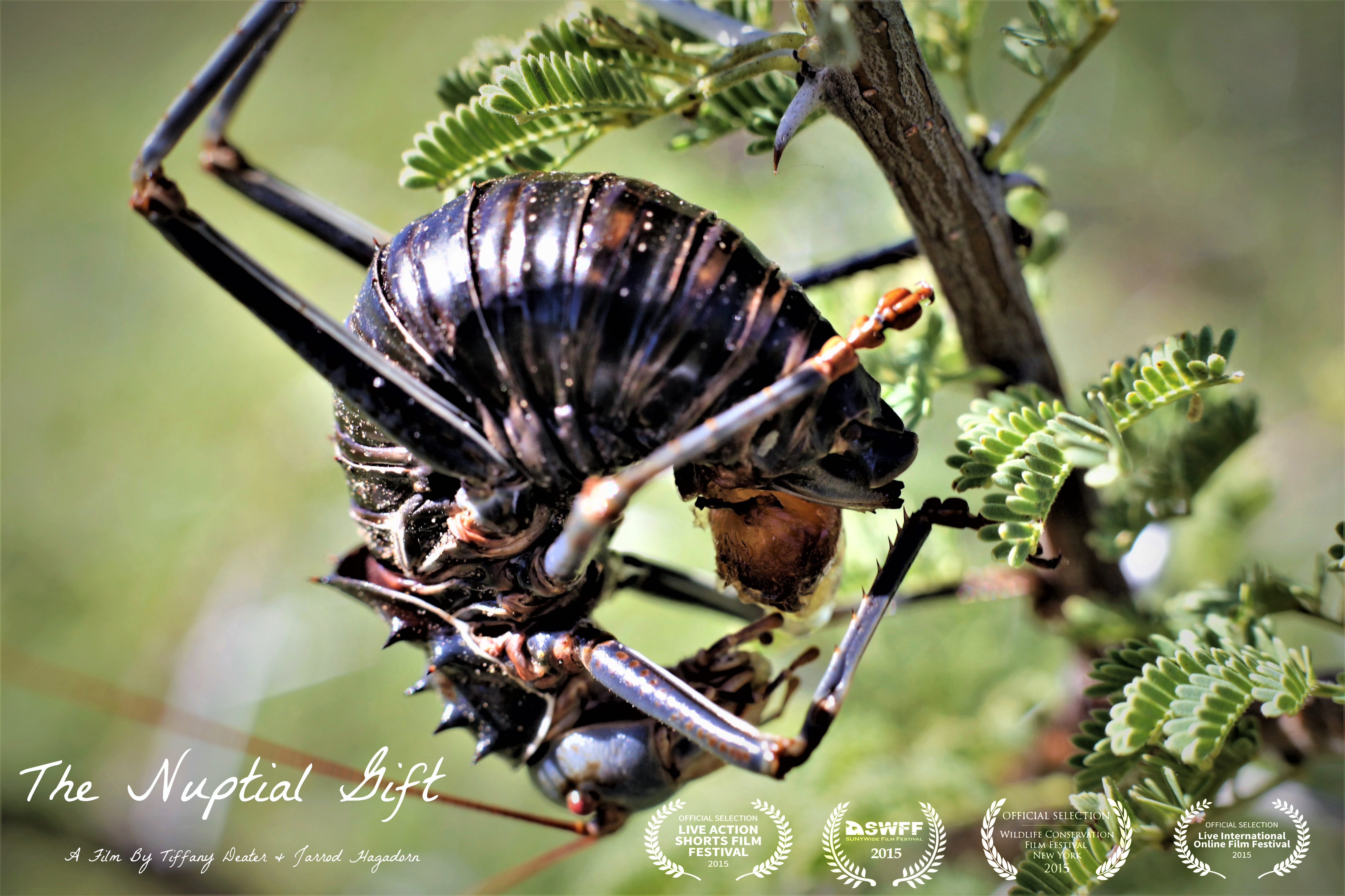 Nuptial Gift Poster.jpg