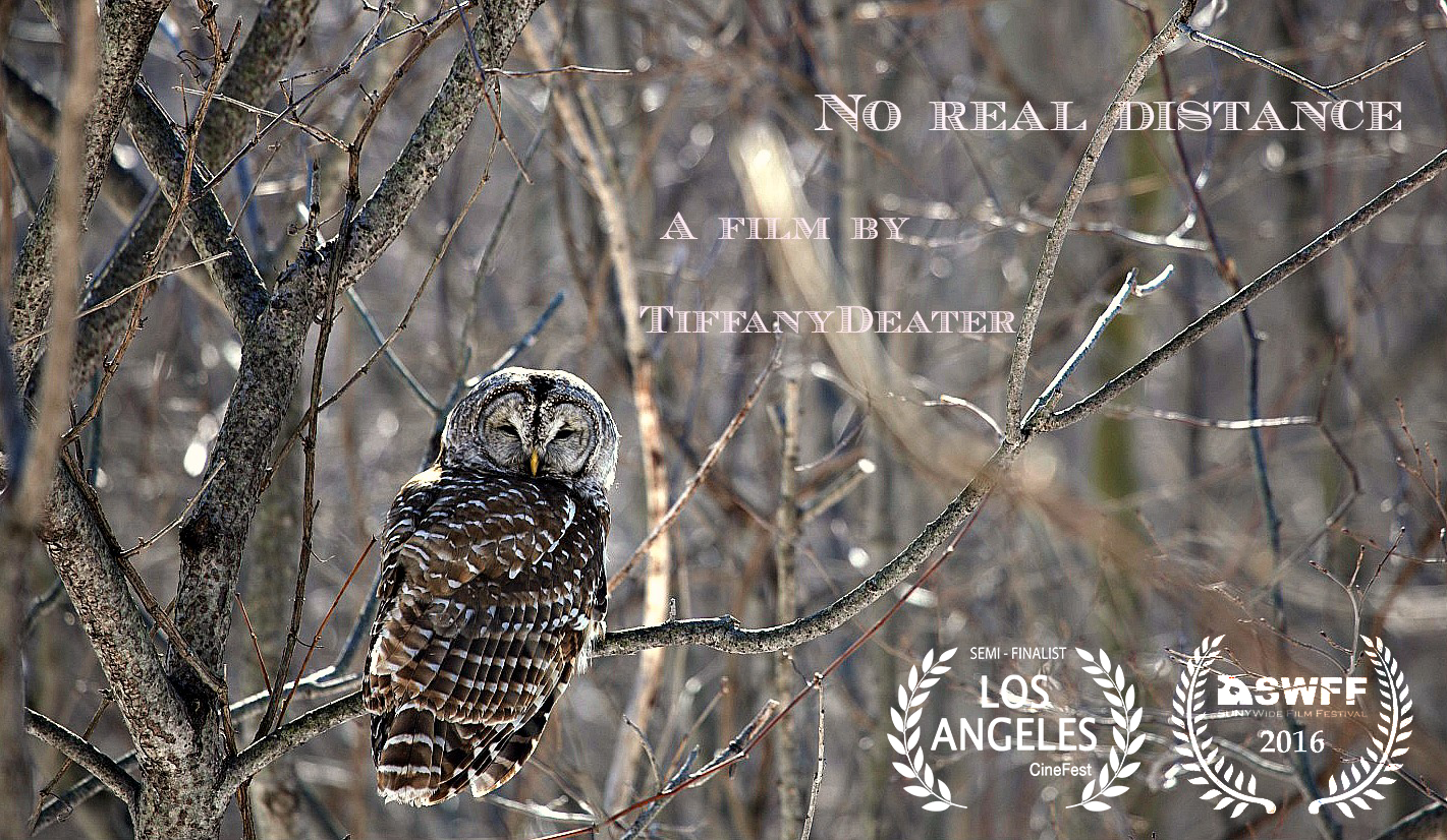 No real distance poster.png