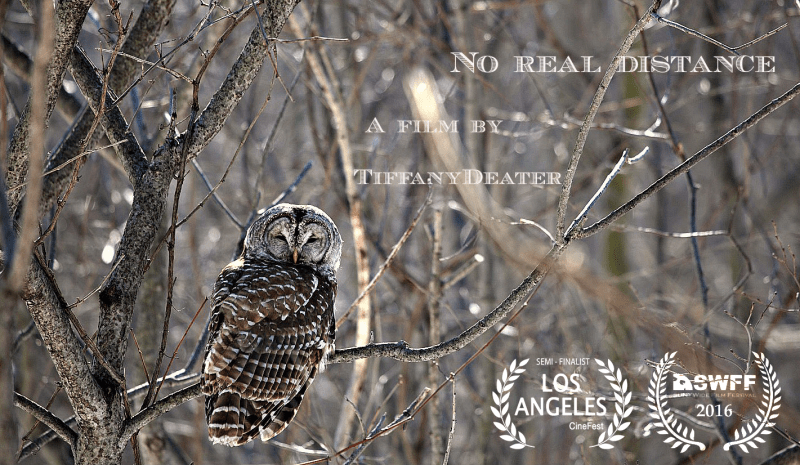 No real distance poster